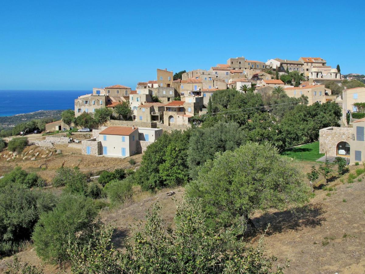 Apartment Residence De La Plage - Iru151 By Interhome LʼÎle-Rousse 外观 照片